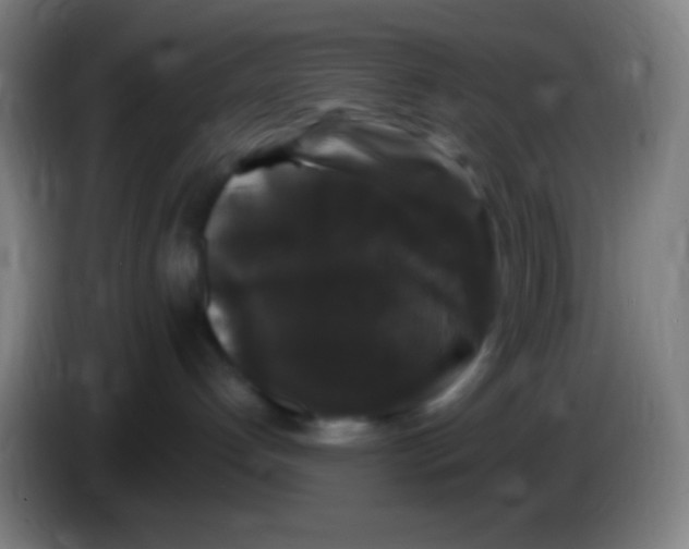 X0000085320192200703302052
