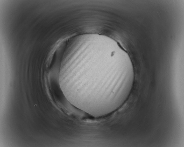 X0000085320193200703302052