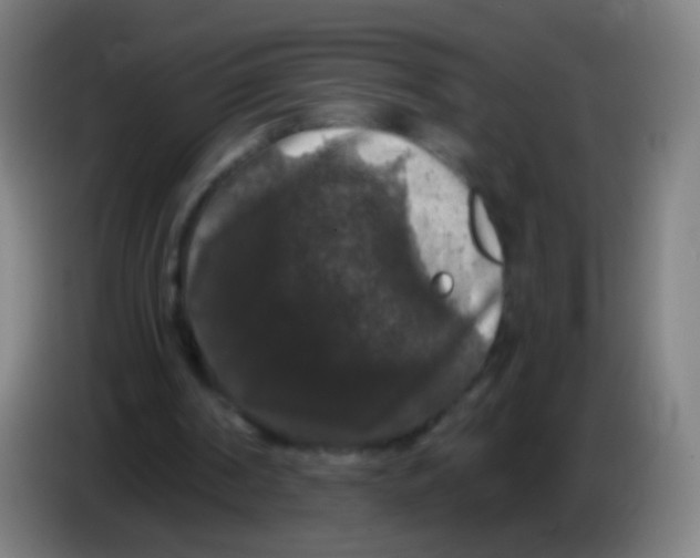 X0000085320194200703302052