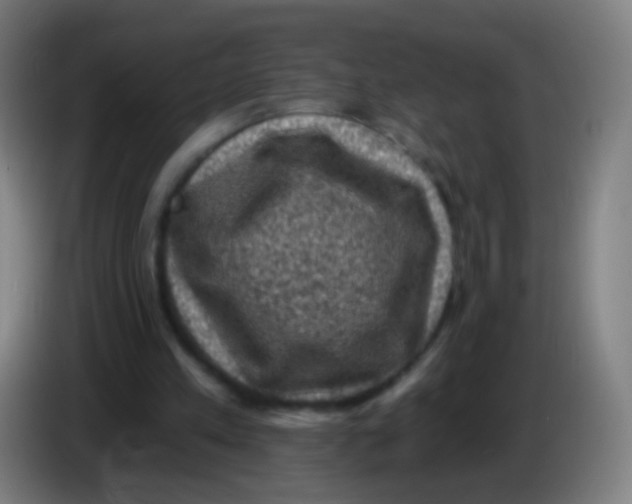 X0000085320197200703302052