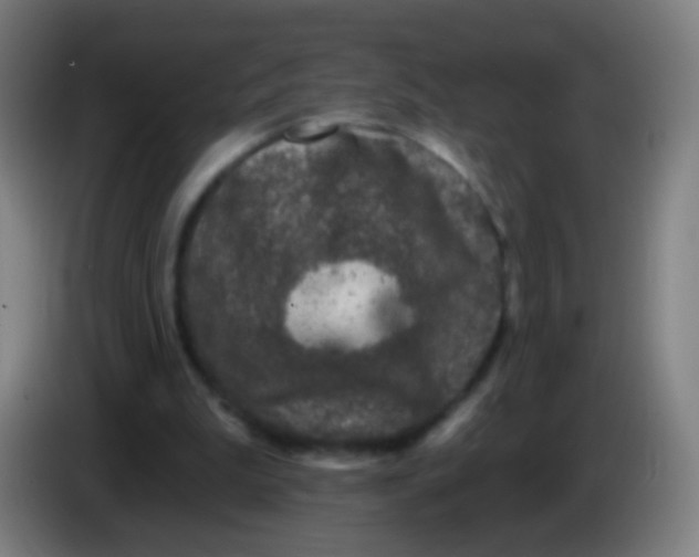 X0000085320199200703302052