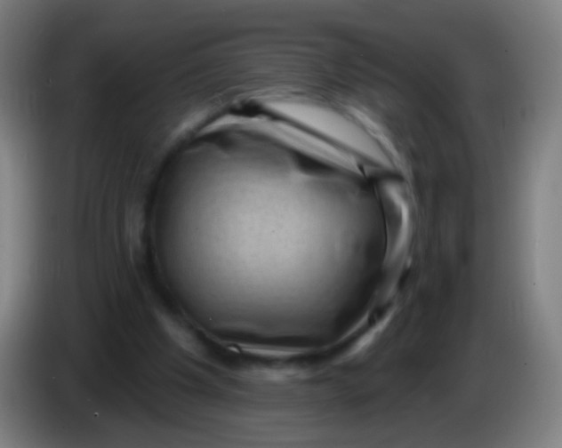 X0000085320201200703302052