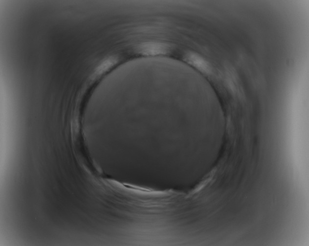X0000085320202200703302052