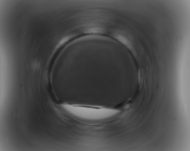 X0000085320204200703302052