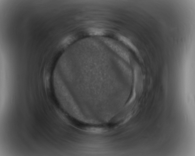X0000085320209200703302051