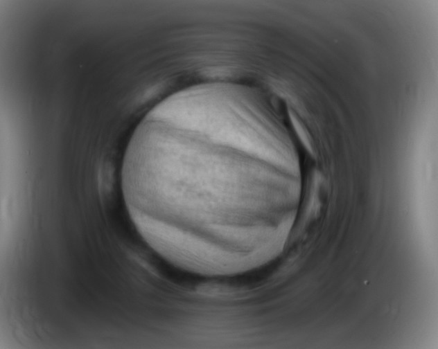 X0000085320211200703302051