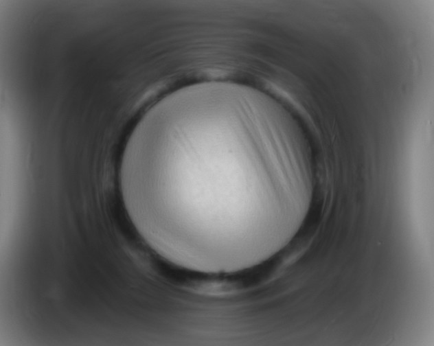 X0000085320212200703302051