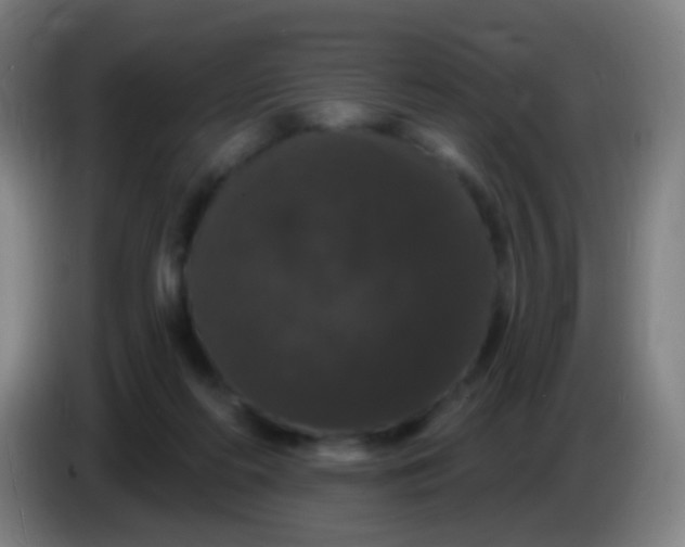 X0000085320214200703302051