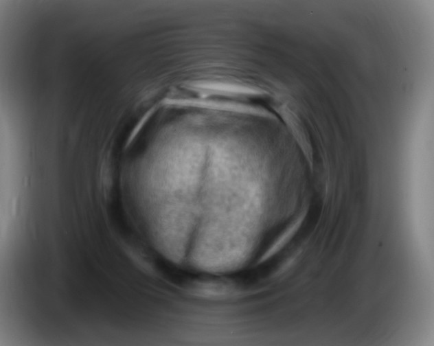X0000085320215200703302051