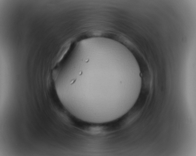X0000085320216200703302051