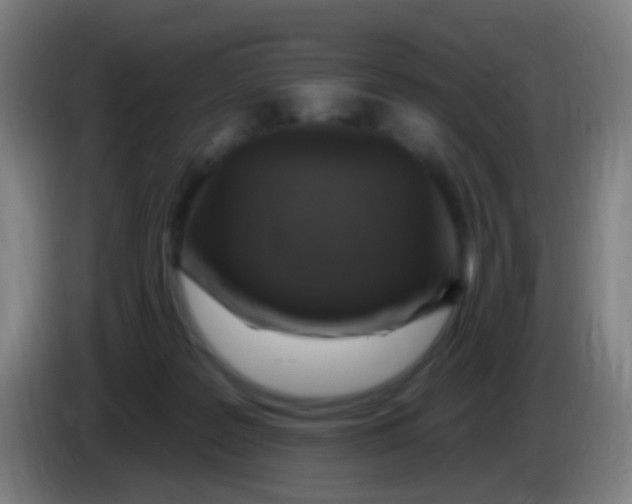 X0000085320219200703302051