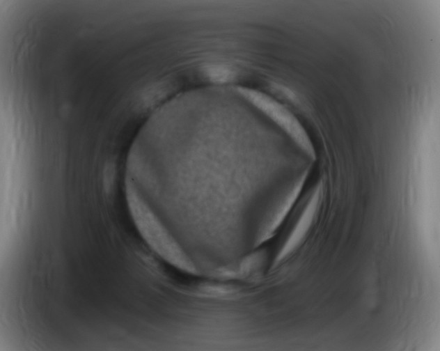 X0000085320221200703302051