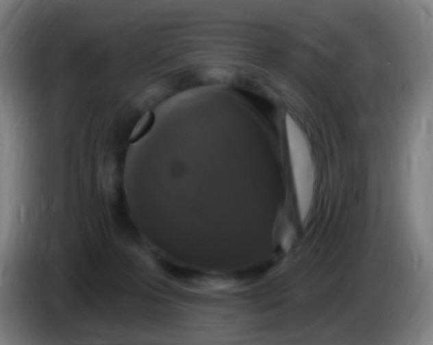 X0000085320223200703302051