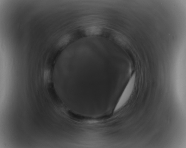 X0000085320224200703302051