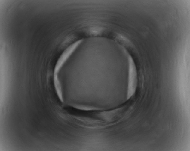 X0000085320225200703302051