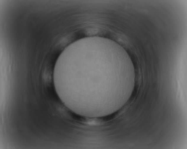 X0000085320226200703302051