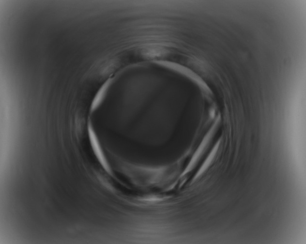X0000085320227200703302051