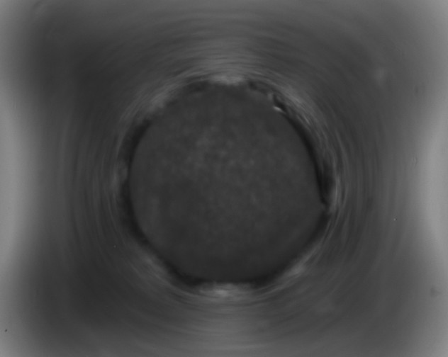 X0000085320229200703302051