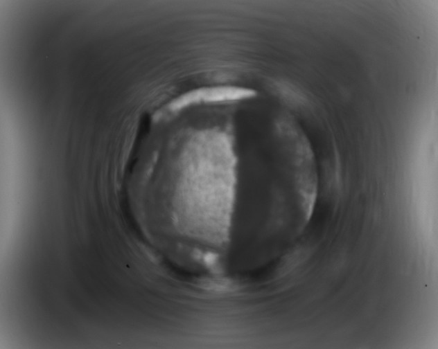 X0000085320230200703302051