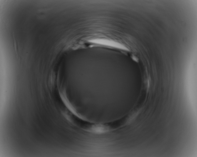 X0000085320231200703302051