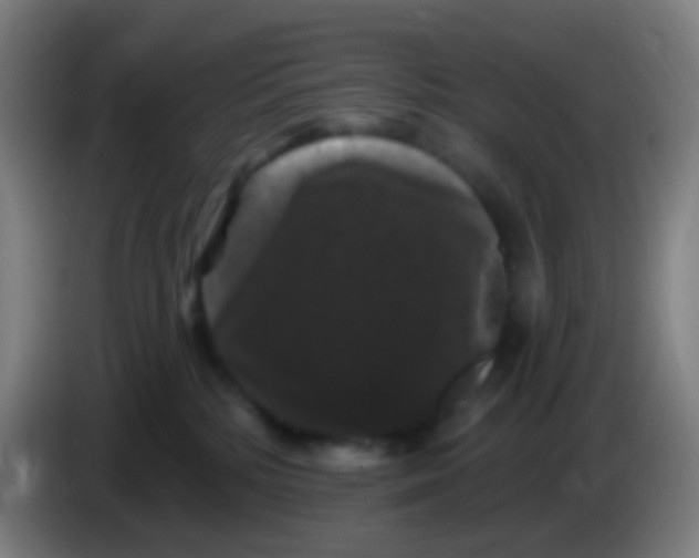 X0000085320232200703302051