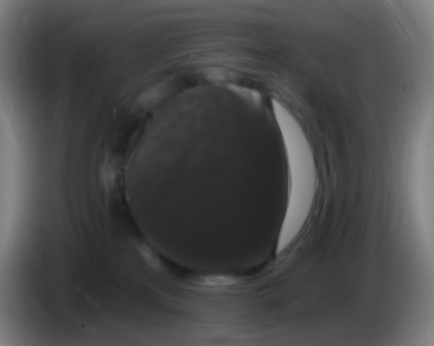 X0000085320233200703302051