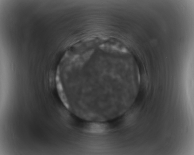 X0000085320234200703302051