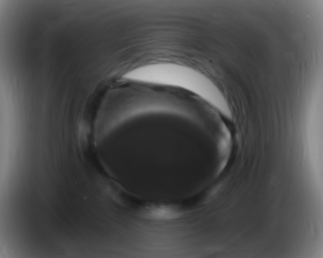 X0000085320235200703302051