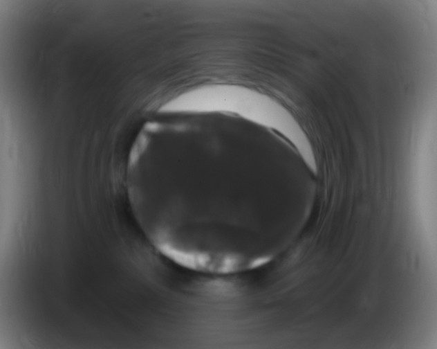 X0000085320236200703302051