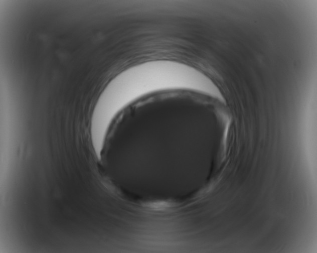 X0000085320237200703302051