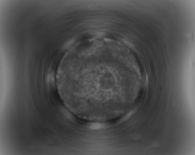 X0000085320238200703302051