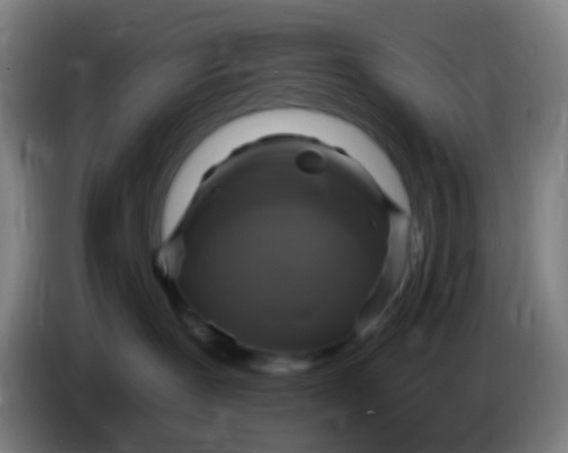 X0000085320239200703302051