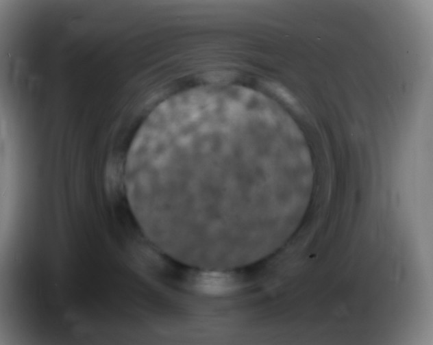X0000085320240200703302051
