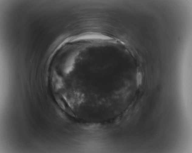 X0000085320243200703302050