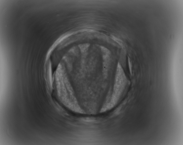 X0000085320244200703302050
