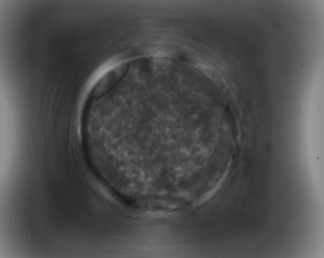 X0000085320246200703302050