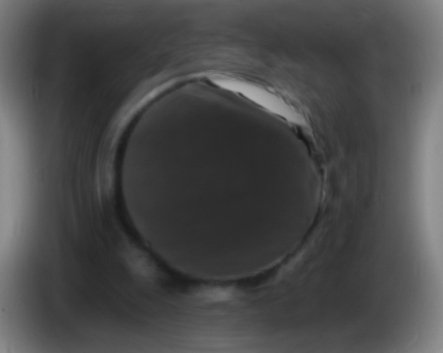 X0000085320247200703302050