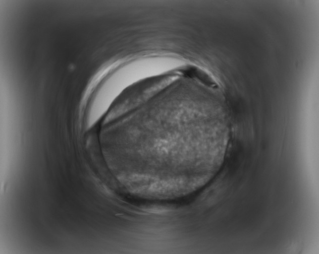 X0000085320248200703302050
