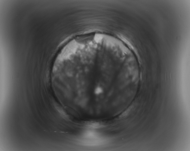 X0000085320249200703302050