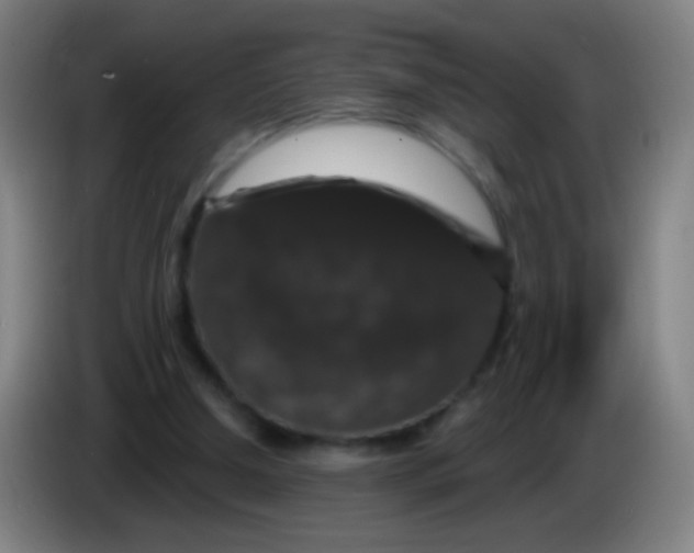 X0000085320250200703302050