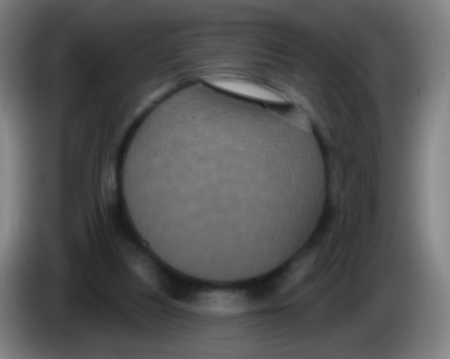X0000085320251200703302051