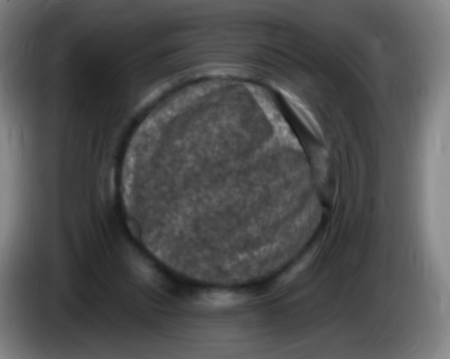 X0000085320253200703302051