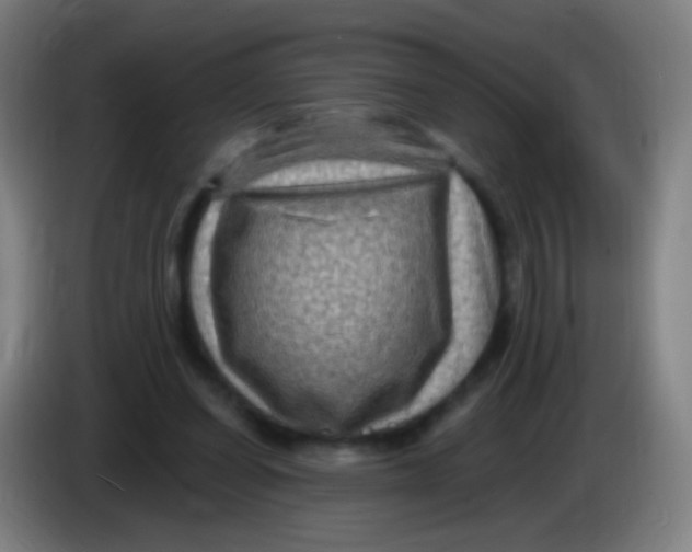 X0000085320254200703302051
