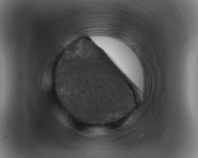 X0000085320255200703302051