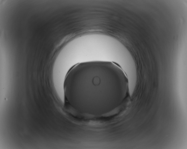 X0000085320256200703302051