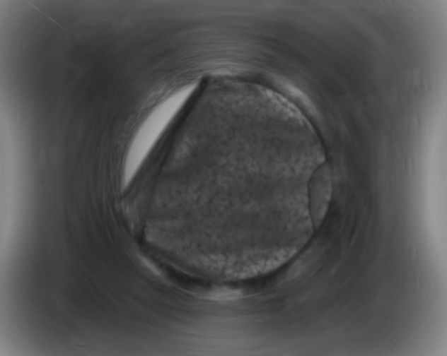 X0000085320257200703302051