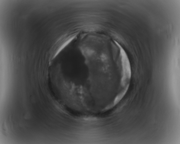 X0000085320258200703302051