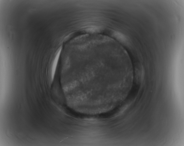 X0000085320259200703302051