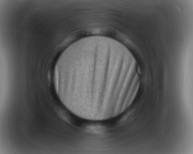 X0000085320262200703302051