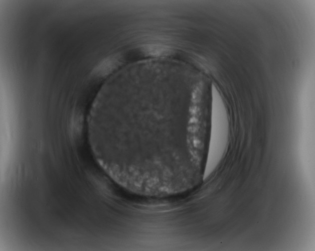 X0000085320263200703302051